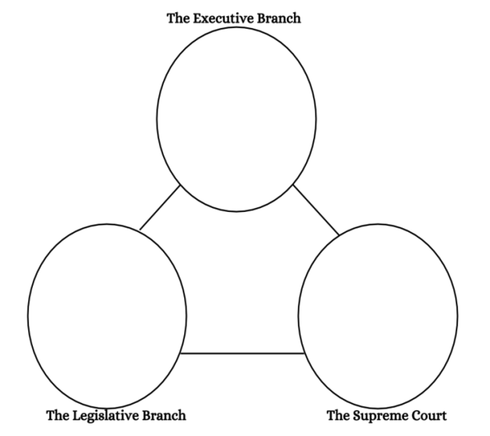 Branches of government graphic organizer