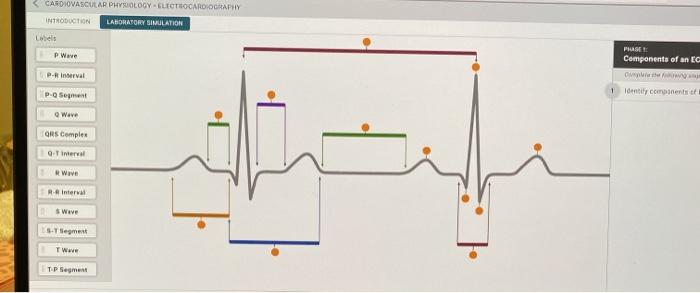 Ecg introduction electrocardiogram anatomy part support graph improving quality data components