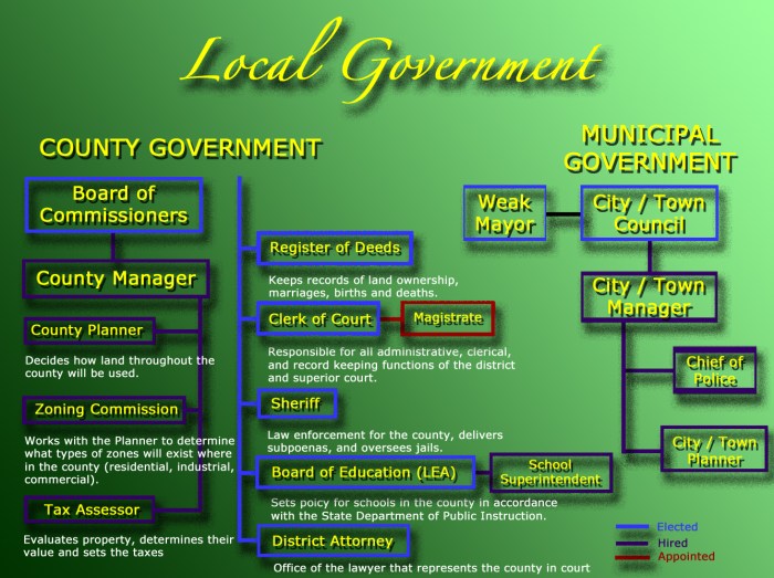 Branches of government graphic organizer