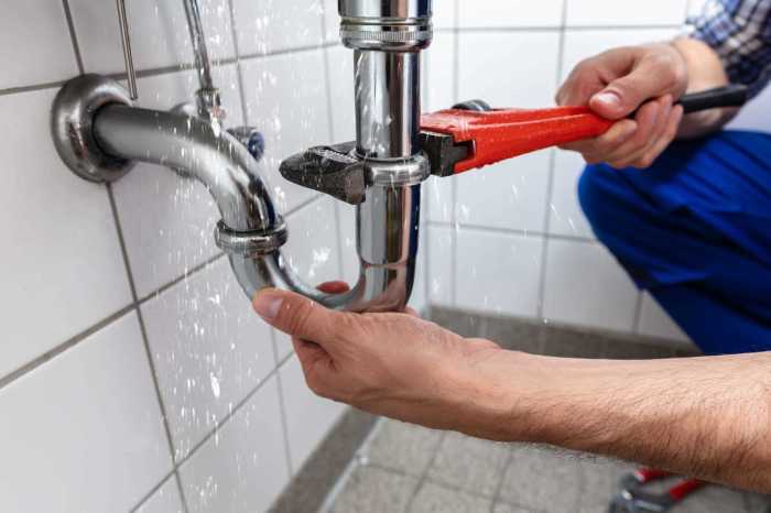 Sink faucet leak