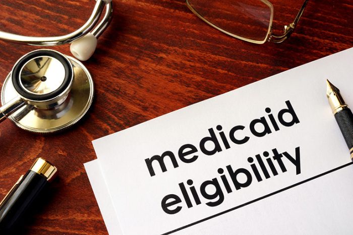 The medicaid alliance for program safeguards