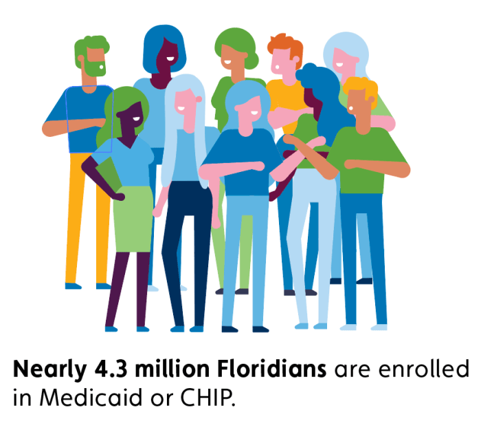 Medicaid americans vital safety