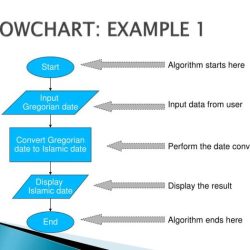 Using flowcharts and pseudocode to write a java program