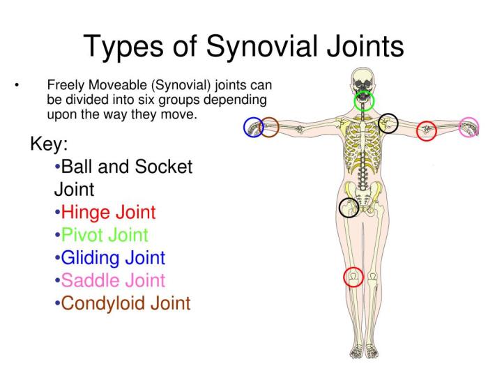 Match the types of synovial joints in column a